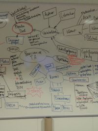 Mindmap